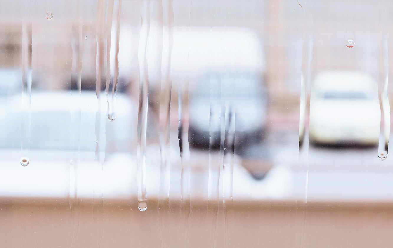 The Hidden Danger in Your Home: How Indoor Humidity Affects Your Health (and How TempIQ Can Help)