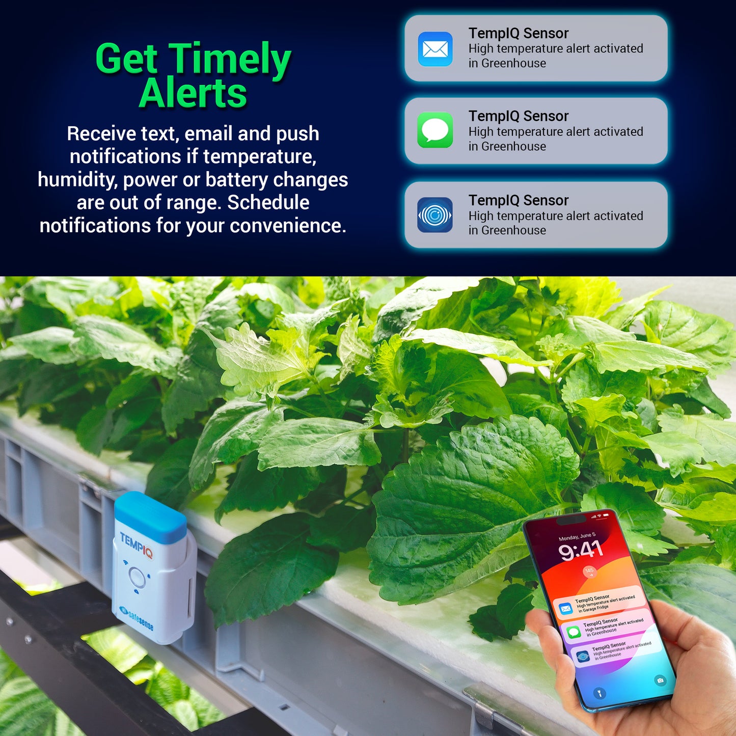 TempIQ WiFi Temperature & Humidity Sensor – Remote Monitoring with Alerts